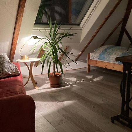 Privates Appartment Ferienwohnung Im Einfamilienhaus Ντίσελντορφ Εξωτερικό φωτογραφία